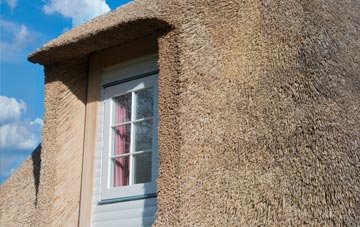 Langtree thatch roof disadvantages